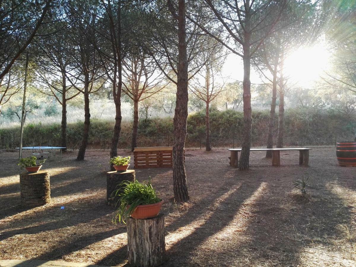 Dolce Vita Campiglia Marittima Kültér fotó